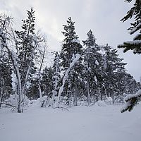 2016-02-08 11-30-58