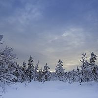 2016-02-10 13-43-59