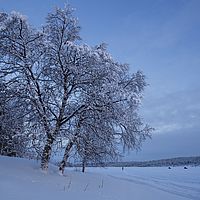2016-02-10 15-56-47