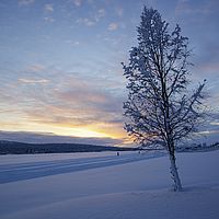 2016-02-10 15-59-40