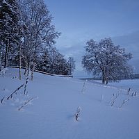 2016-02-10 16-00-32