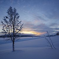 2016-02-10 16-01-39