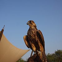 20-09-2010 17-27-55