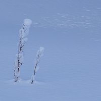 2016-02-10 16-14-19