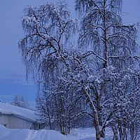 2016-02-10 16-40-51