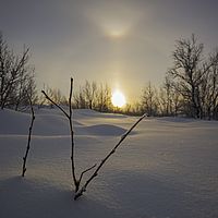 2016-02-11 11-02-22