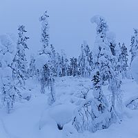 2016-02-12 16-13-16