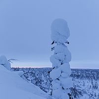 2016-02-12 16-27-13