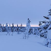 2016-02-12 16-43-18