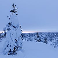 2016-02-12 16-43-42