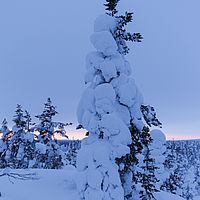 2016-02-12 16-46-56