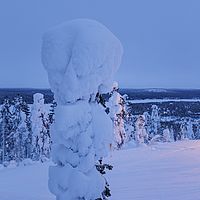 2016-02-12 16-51-06