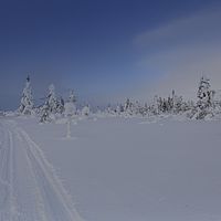 2016-02-13 10-56-21