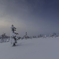 2016-02-13 10-57-13