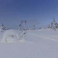 2016-02-13 10-58-15