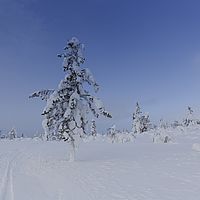 2016-02-13 10-58-35