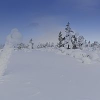 2016-02-13 11-00-35