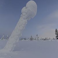 2016-02-13 11-01-36