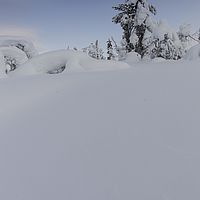 2016-02-13 11-05-36