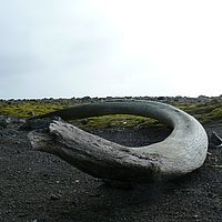 2009-02-25 16-01-00