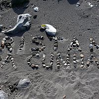 2009-03-29 13-08-52