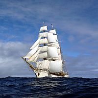 2009-04-09 11-19-02