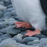 2009-02-26 16-59-01