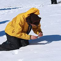 2009-03-01 11-18-44
