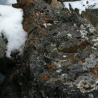 2009-03-02 14-25-20