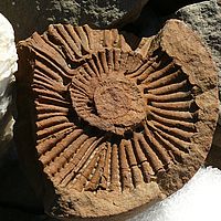 2009-03-04 09-56-33