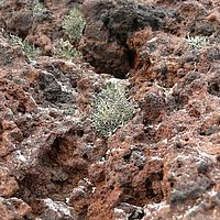 2009-03-05 10-12-53