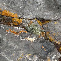 2009-03-05 10-13-11