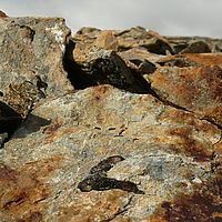 2009-03-15 10-39-55