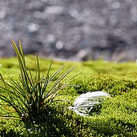 2009-03-15 11-31-16
