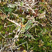 2009-03-15 12-48-09