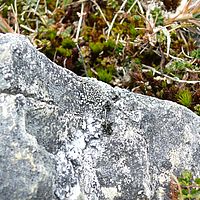 2009-03-15 12-48-25