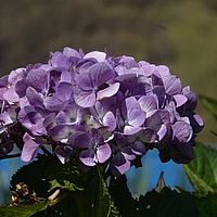 2009-03-29 11-17-32