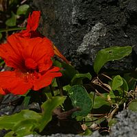 2009-03-29 11-22-44