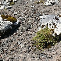 2009-03-30 11-25-19