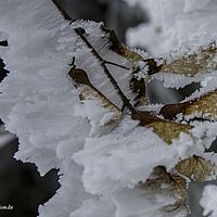 2015-02-14 09-41-20-2