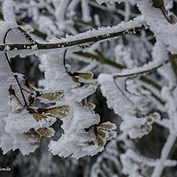 2015-02-14 09-41-21