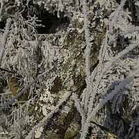 2015-02-15 09-25-24