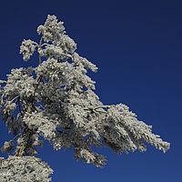2015-02-15 09-28-27