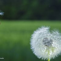 2015-05-09 20-38-03-5