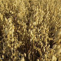 2015-07-14 19-46-33