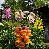 2015-07-18 14-11-46