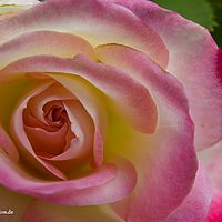 2015-07-18 18-01-08