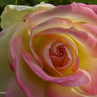 2015-07-18 18-01-27-4