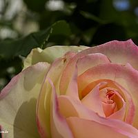 2015-07-18 18-01-40