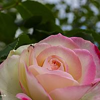 2015-07-18 18-02-25